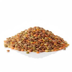pulse lentils