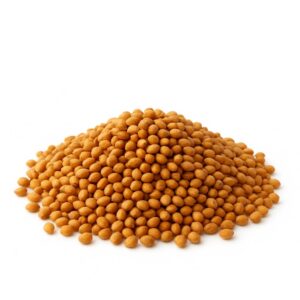 sorghum